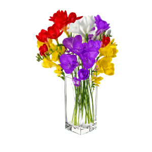 flowers1