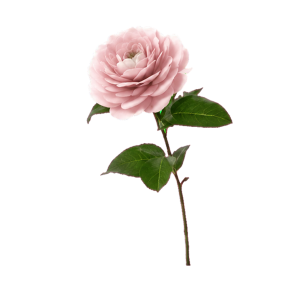 flowers3